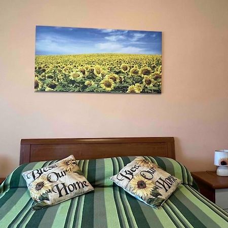 Vicino A Tutto Bed & Breakfast Vercelli Ngoại thất bức ảnh