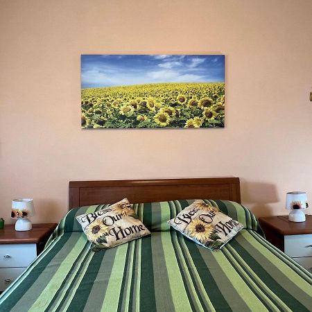 Vicino A Tutto Bed & Breakfast Vercelli Ngoại thất bức ảnh